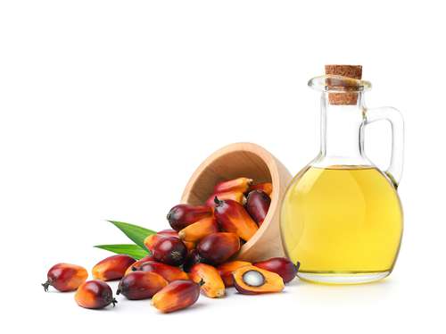 PalmOil-shutterstock_2182019871.width-500